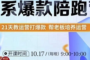 108将淘系爆款陪跑营【第九期】,从0开始21天教你打爆款