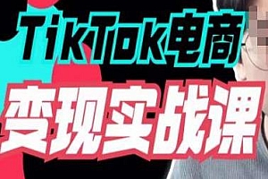TikTok电商学长Ethan·TikTok电商变现实战课,TikTok运营+Shopify独立站运营+TikTok广告投放教程