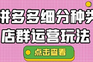 拼多多细分种类店群运营玩法3.0,小白也可操作,11月最新玩法