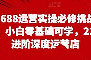 1688运营实操必修挑战营,21天进阶深度运营店,小白零基础可学