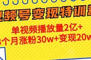 21天视频号训练营第14期,为你讲授视频号的“道”与“术”,单条视频播放量2.4亿