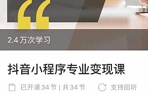 抖音小程序专业变现课,小程序各类玩法运营变现技巧介绍