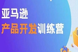 亚马逊产品开发训练营,助你突出重围,爆单产品的开发方法