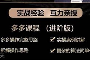 拼多多实战篇·落地实操课,拼多多操作完整思路+实操案例讲解等