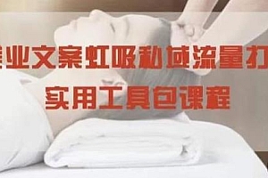 美业文案私域流量打造课,让你学会私域流量的打造和营销!