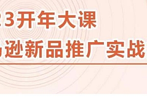 2023亚马逊新品推广实战技巧,简单粗暴,线下百万美金课程精简版