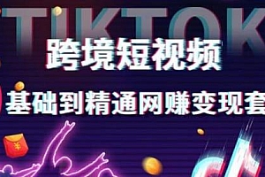 跨境短视频TIKTOK变现训练营,0基础到精通,独立站带货变现技巧等