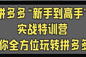 拼多多实战宝典,从新手到高手,小白必看拼多多教程