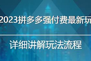 大炮·2023最新拼多多强付费玩法,详细讲解玩法流程