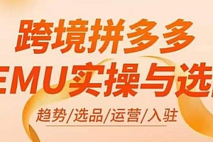 跨境拼多多TEMU实操与选品,入驻/选品/运营,掌握平台运营方法技巧