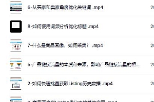 2023亚马逊运营必备,亚马逊Listing多阶段精细化运营及SEO策略教程
