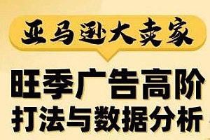 阿甘·亚马逊大卖家,旺季广告高阶打法与数据分析教程,揭秘大卖惯用打法