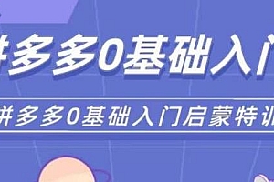 六一电商·拼多多运营0-1实操特训营,0基础入门到进阶的实操玩法教程