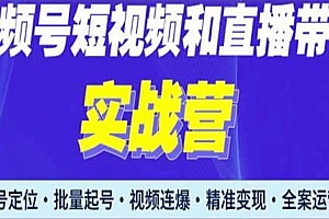 2023最新视频号引流和变现实战营,视频号短视频和直播运营全套教程