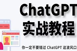 ChatGPT实战教程,带你从小白成为ChatGPT专家,一定不能错过chatgpt这波风口
