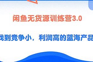 闲鱼无货源训练营3.0,找到竞争小,利润高的蓝海产品,一单几百上千