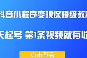 抖音小程序变现项目保姆级教程,3天起号,第1条视频就有收入