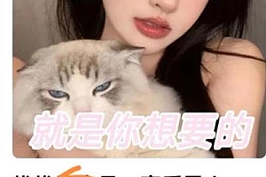 收费299的最全扩列变现项目教程,暴力变现轻松引流