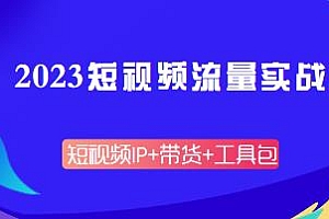 2023短视频流量实战课,短视频IP+带货+脚本+话术等