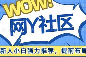 有道词典WOW社区项目,高速上升期,蓝海项目,提前布局