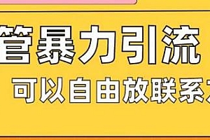 油管暴力引流方法揭秘,可以自由放联系方式