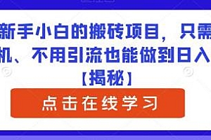 适合新手的搬砖项目揭秘,一部手机、不用引流也能做到日入300+玩法分享