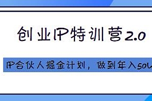 白龙·创业IP特训营2.0教程,做到年入50W,IP合伙人掘金计划