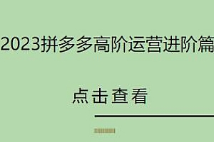 2023拼多多高阶运营进阶篇,让你成为运营高手