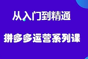 龙一·拼多多运营系列课从入门到精通,0-100实操运营带你弯道超车