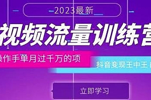 短视频流量训练营,抖音变现王中王能力超强,单月过千万的项目