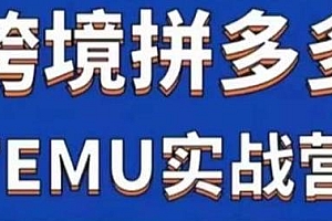大鹏出海·拼多多跨境temu运营课,日出千单实战教程