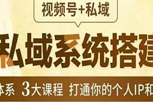 IP私域系统搭建课,教你打通你的个人IP和私域体系教程