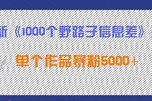 最新《1000个野路子信息差》玩法揭秘,小白轻松上手,单个作品暴粉5000+