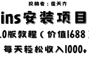 蓝海ins安装项目2.0揭秘,每天收入1000+