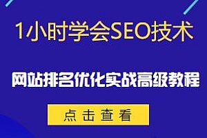 1小时学会SEO技术,秒杀市面95%收费几千的SEO教程