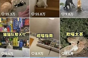 抖音盘点类中视频变现副业项目揭秘,一条龙大解析视频版