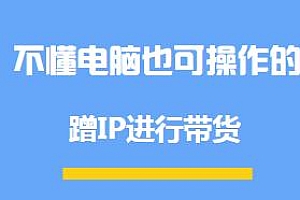 不懂电脑也能操作的蹭IP进行带货玩法揭秘,月入过万