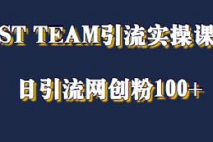 ST TEAM引流实操课揭秘,日引100+网创粉