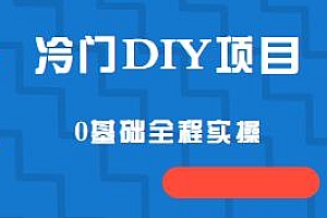 冷门DIY项目揭秘,日入几百0基础全程实操
