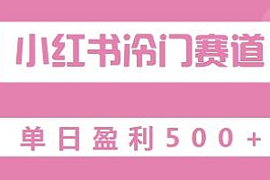 小红书冷门赛道玩法揭秘,单日500+