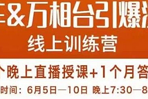 直通车&万相台引爆流量班线上训练营,6天打通你开直通车·万相台的任督二脉