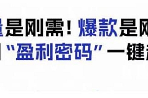 电商盈利精品课,6大盈利密码让你的产品更好卖