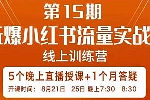 辛言·玩爆小红书流量实战班线上训练营