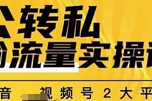 群响·公转私偷流量实操课,视频号+抖音双端运营公转私