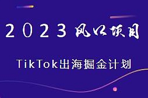 2023风口项目TikTok出海掘金计划,跨境电商短视频直播带货