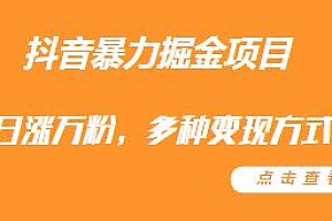 抖音暴力掘金项目揭秘,多种变现方式,日涨万粉