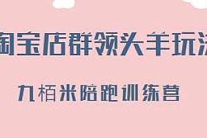 九栢米精细化陪跑-淘宝店群领头羊玩法