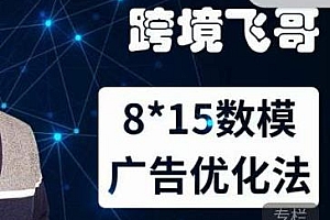 跨境飞哥·广告优化高阶课,用数据驱动决策