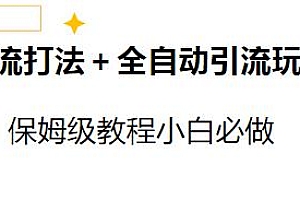 截流打法+全自动引流玩法揭秘,小白必做日入2K+