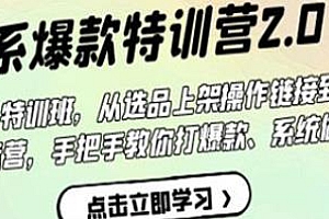 淘系爆款特训营2.0,第6期21天线上特训班